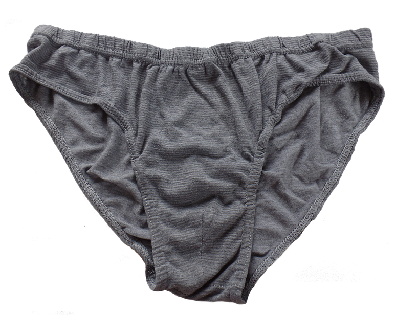 Unterhose I